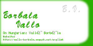 borbala vallo business card